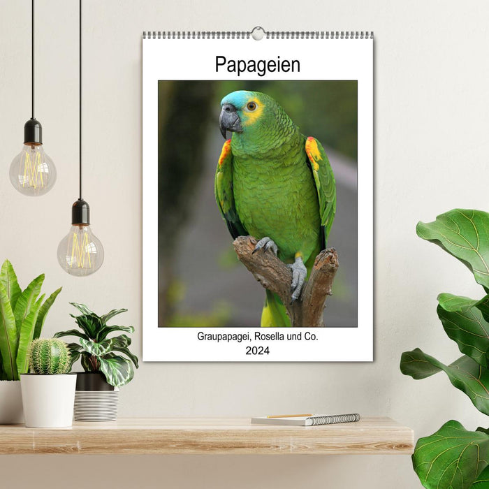 Parrots - African Gray Parrot, Rosella and Co. (CALVENDO wall calendar 2024) 