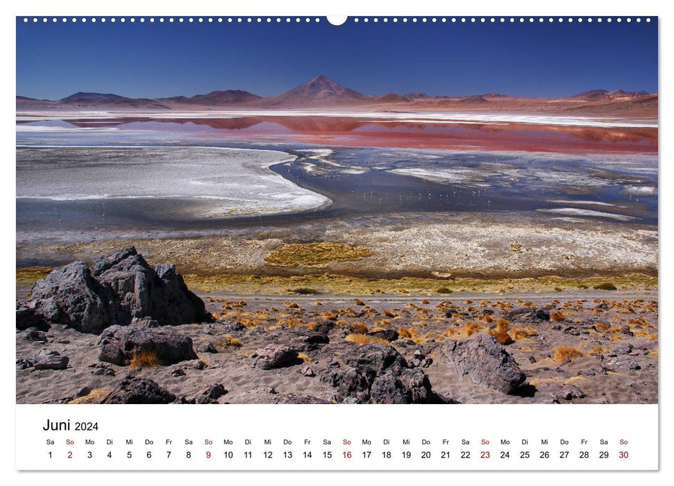 Das bolivianische Hochland (CALVENDO Premium Wandkalender 2024)