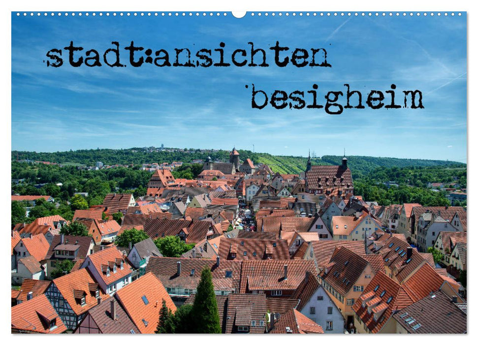 city:views of besigheim (CALVENDO wall calendar 2024) 