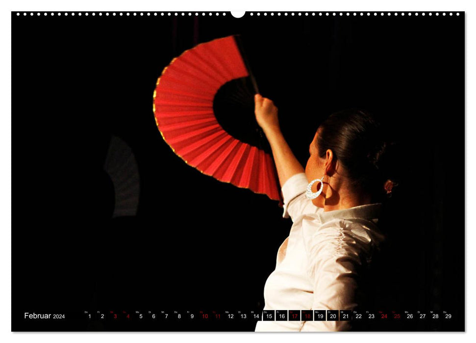 Flamenco. Spanischer Tanz (CALVENDO Wandkalender 2024)