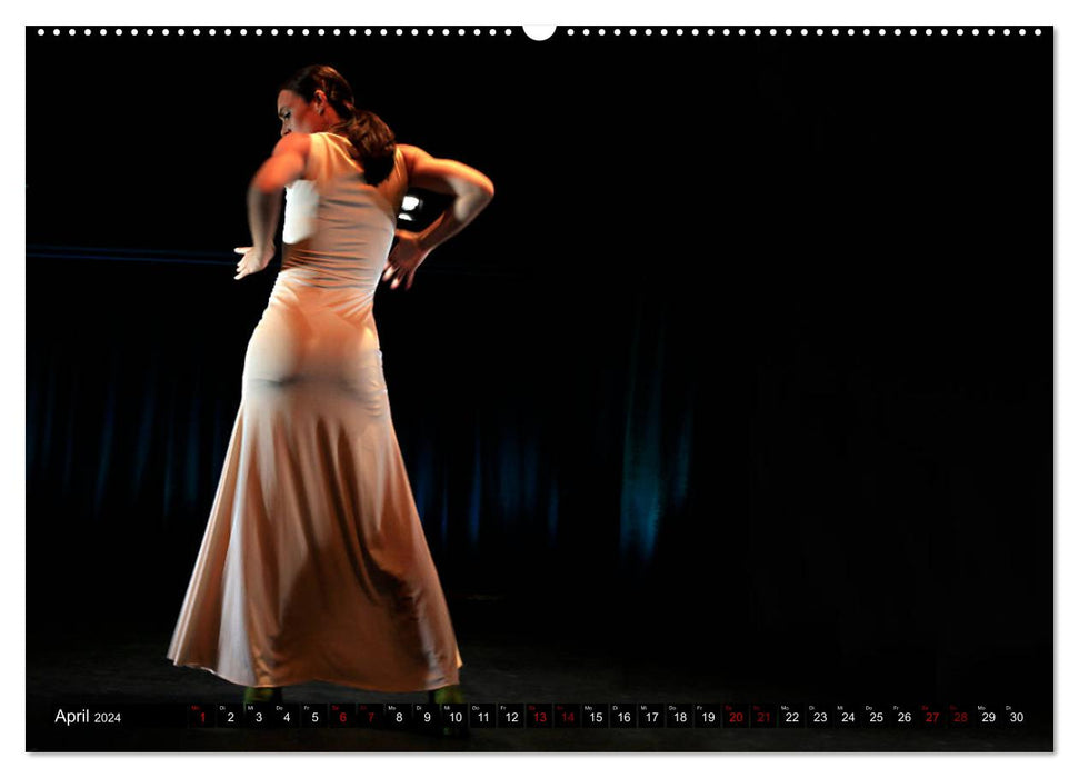 Flamenco. Spanischer Tanz (CALVENDO Wandkalender 2024)