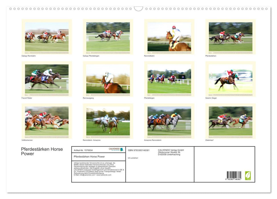 Horsepower Horse Power (CALVENDO wall calendar 2024) 