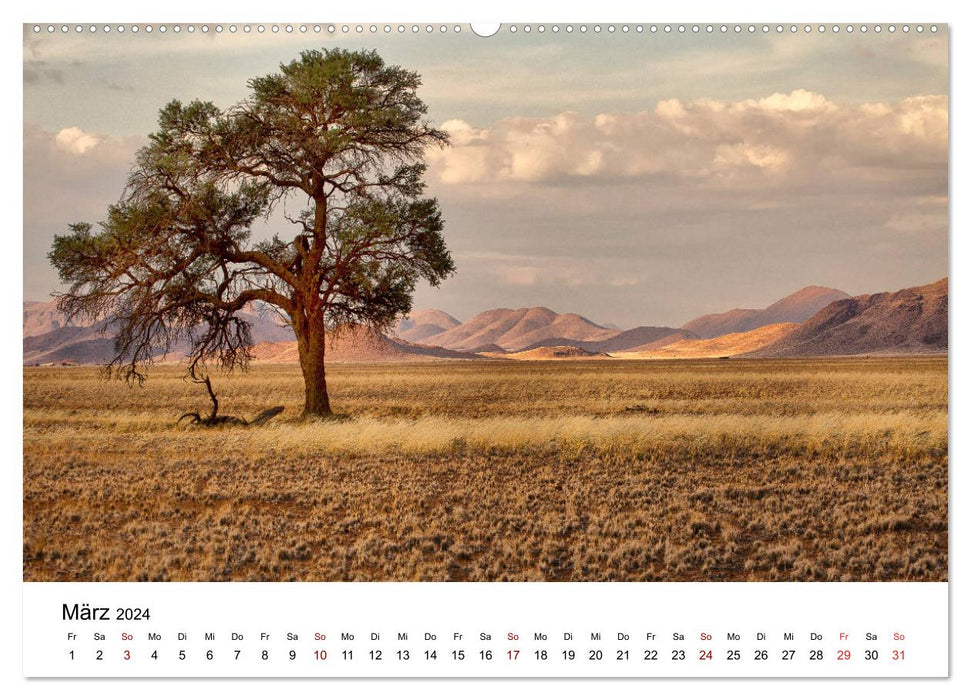 Bäume in Namibias Landschaften (CALVENDO Premium Wandkalender 2024)