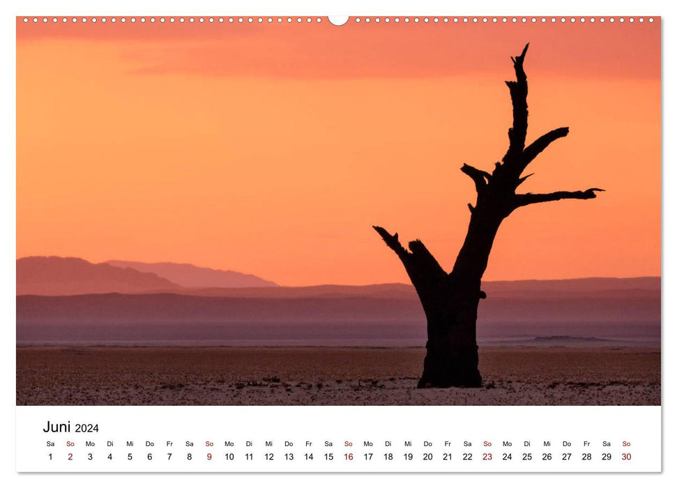 Bäume in Namibias Landschaften (CALVENDO Premium Wandkalender 2024)