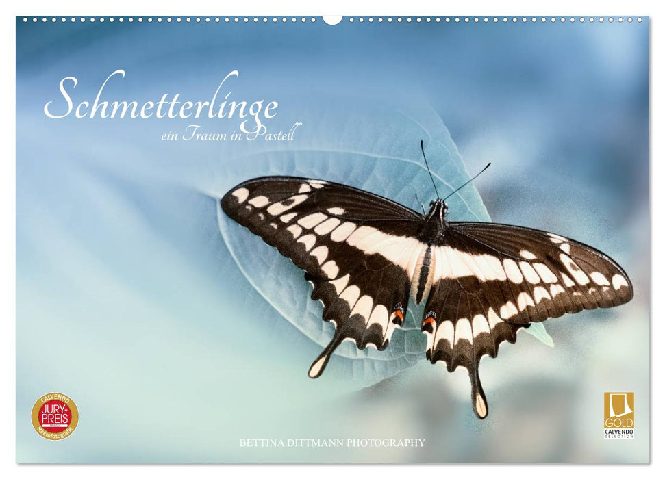 Butterflies - a dream in pastel (CALVENDO wall calendar 2024) 