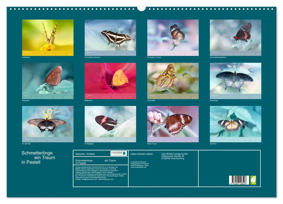 Butterflies - a dream in pastel (CALVENDO wall calendar 2024) 