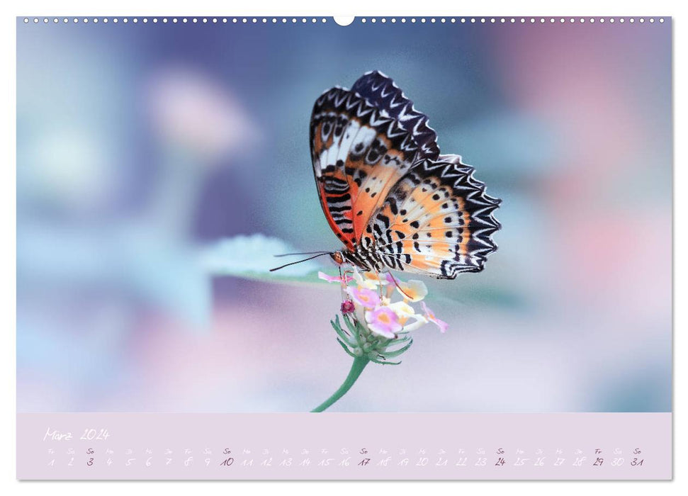 Papillons - un rêve au pastel (Calendrier mural CALVENDO 2024) 