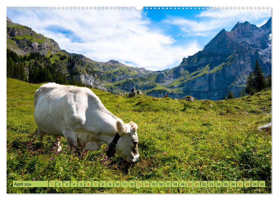 Alpentraum Kandersteg (CALVENDO Wandkalender 2024)