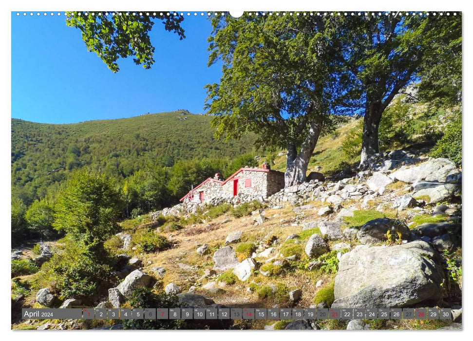 Long-distance hiking in Corsica GR 20 (CALVENDO Premium Wall Calendar 2024) 