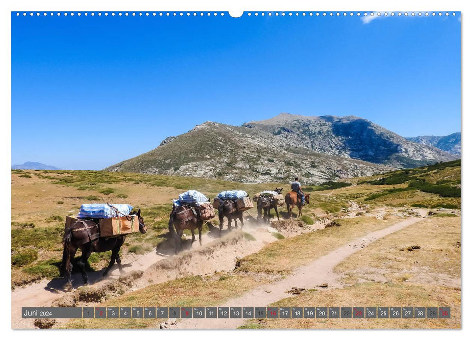 Weitwandern auf Korsika GR 20 (CALVENDO Premium Wandkalender 2024)