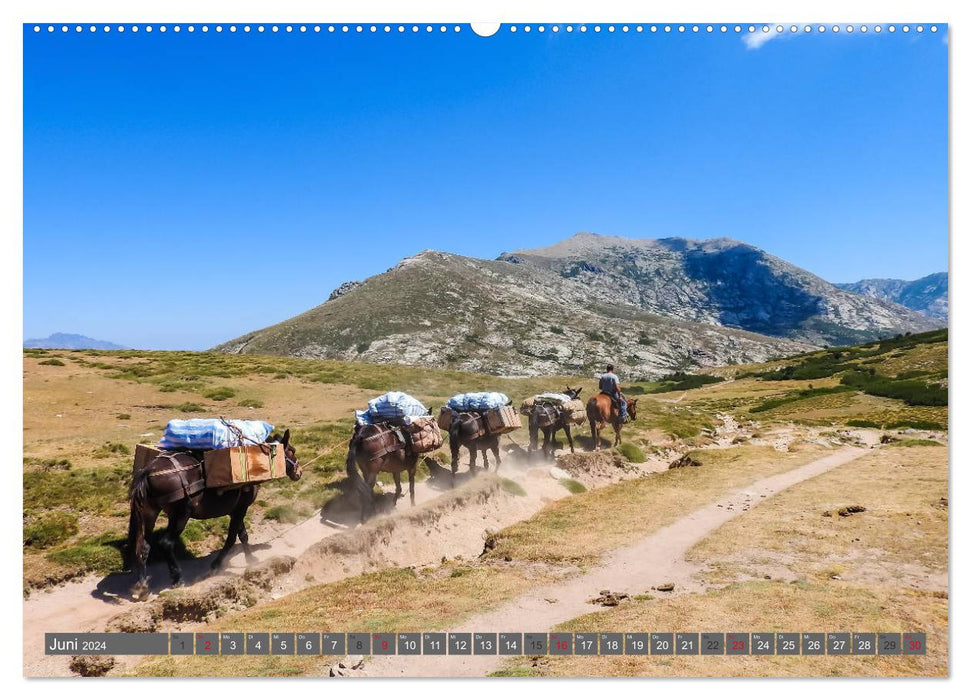 Long-distance hiking in Corsica GR 20 (CALVENDO Premium Wall Calendar 2024) 