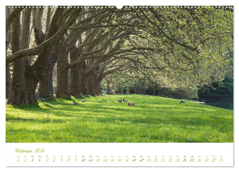 Cologne nature. Time out Decksteiner Weiher (CALVENDO Premium Wall Calendar 2024) 