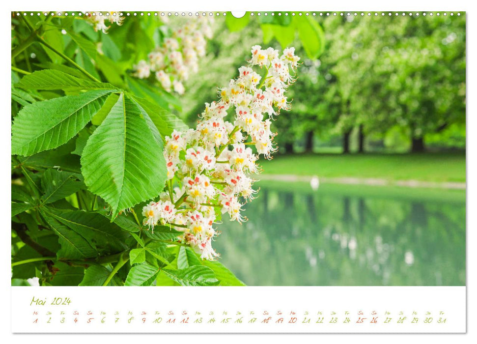 Cologne nature. Time out Decksteiner Weiher (CALVENDO Premium Wall Calendar 2024) 