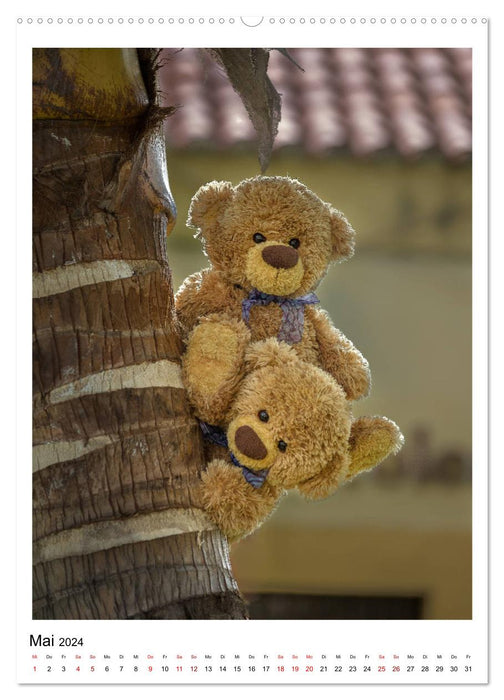 Traveling Teddy Cuba Edition 2024 (CALVENDO Wall Calendar 2024) 