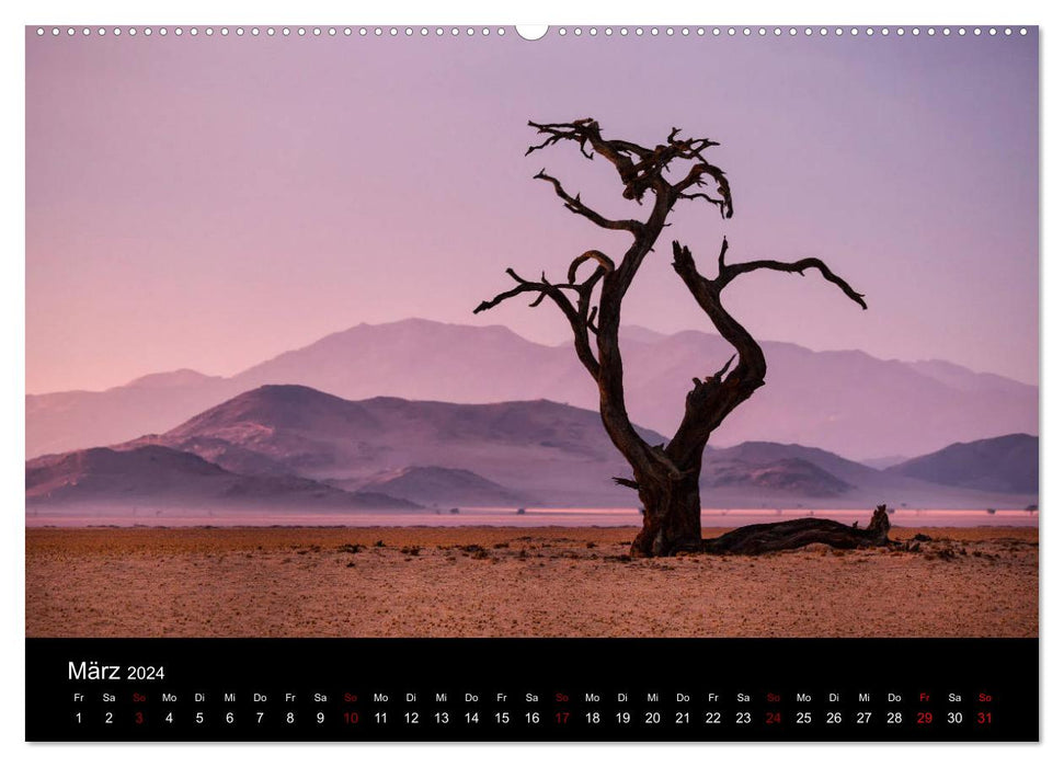 Das Licht Namibias (CALVENDO Premium Wandkalender 2024)