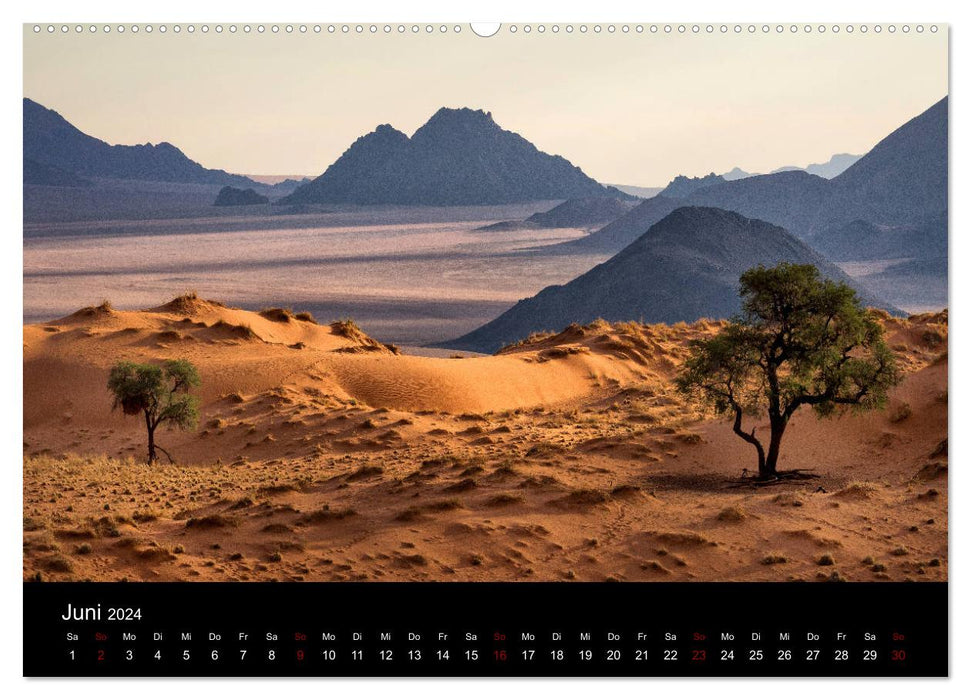 Das Licht Namibias (CALVENDO Premium Wandkalender 2024)