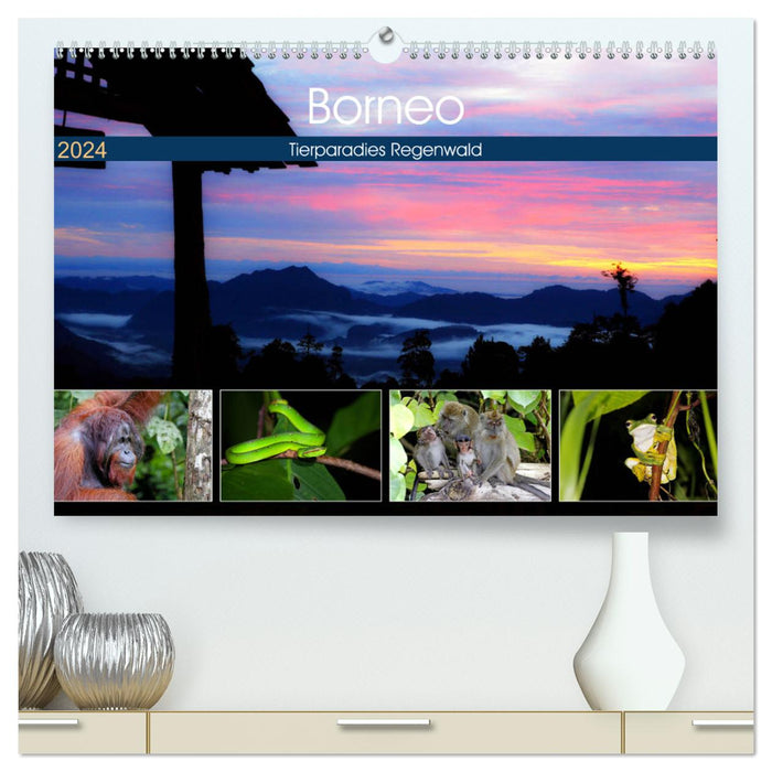 Bornéo – Forêt tropicale du paradis animalier (Calvendo Premium Wall Calendar 2024) 