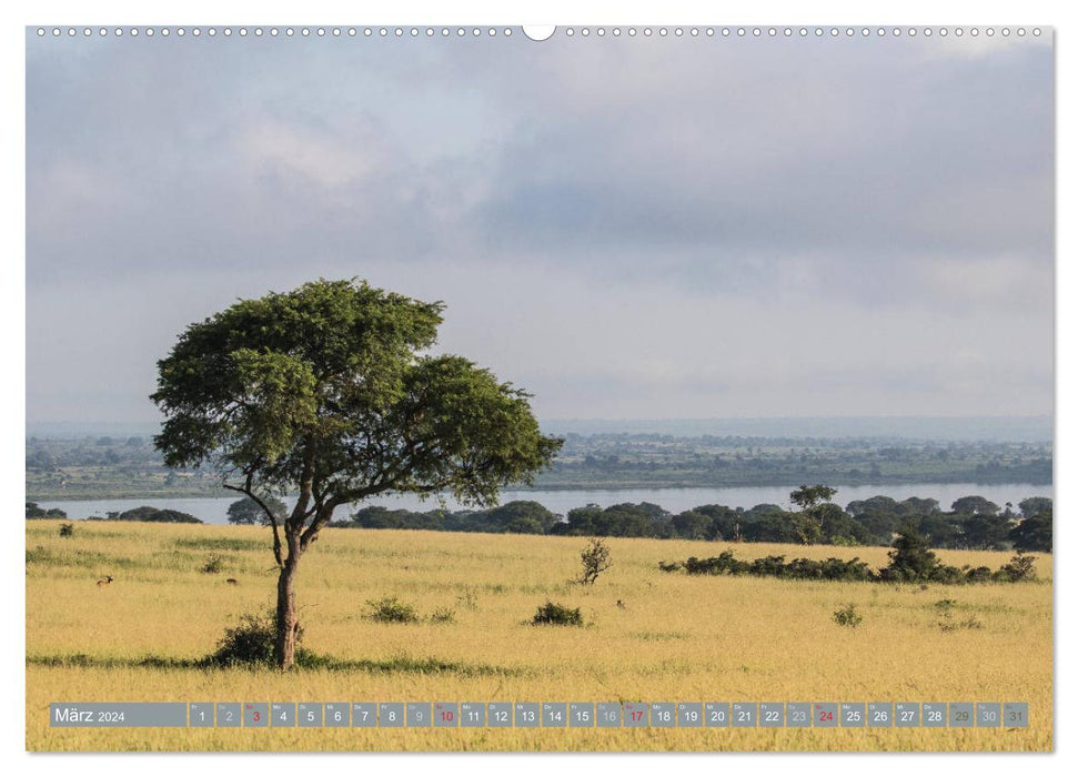 Insider tip Uganda (CALVENDO wall calendar 2024) 