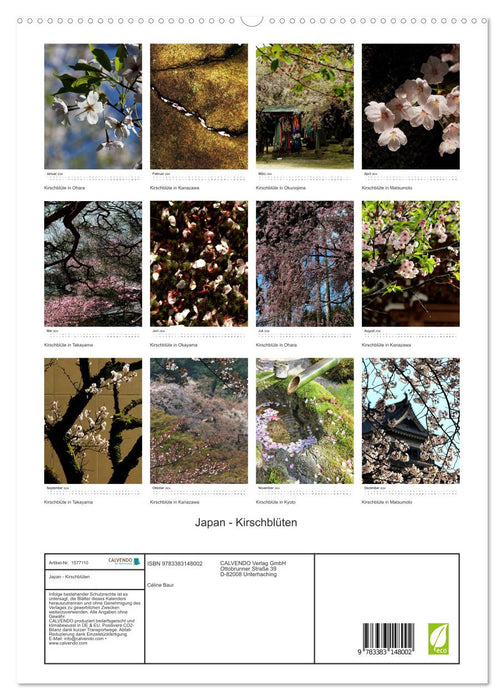 Japan - Kirschblüten (CALVENDO Premium Wandkalender 2024)