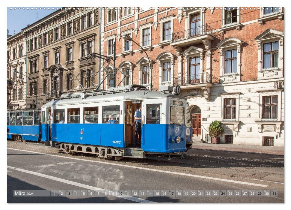 Polen Poesie (CALVENDO Premium Wandkalender 2024)