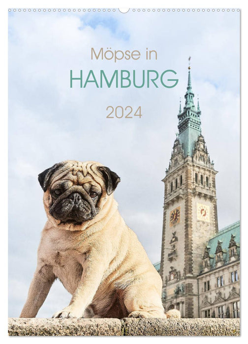 Möpse in Hamburg (CALVENDO Wandkalender 2024)