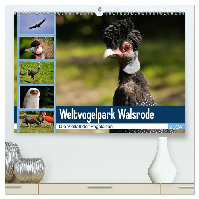 Weltvogelpark Walsrode - Die Vielfalt der Vogelarten (CALVENDO Premium Wandkalender 2024)
