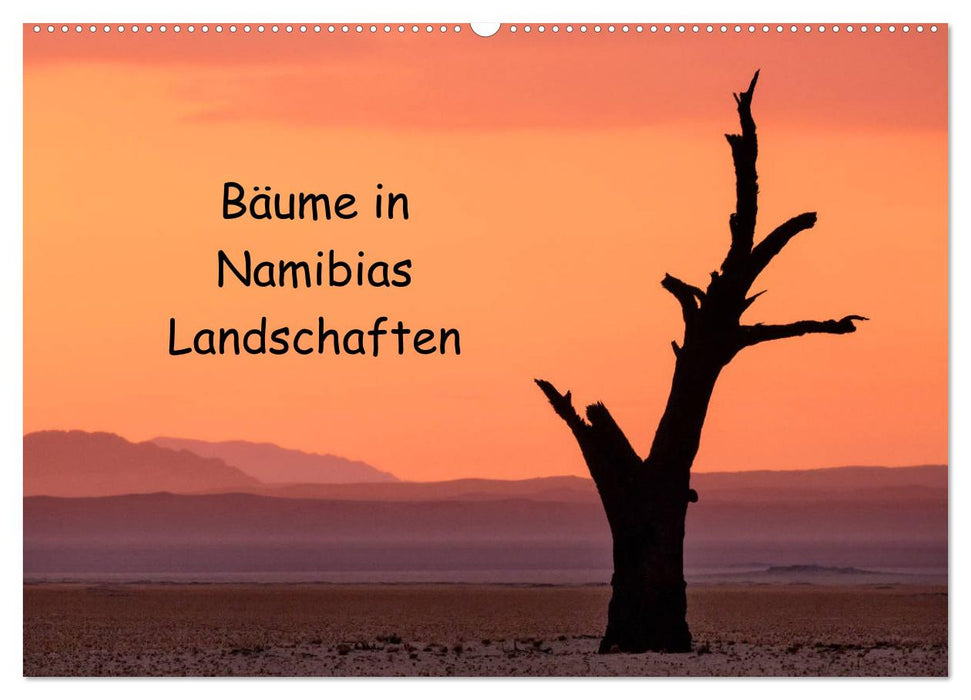 Bäume in Namibias Landschaften (CALVENDO Wandkalender 2024)