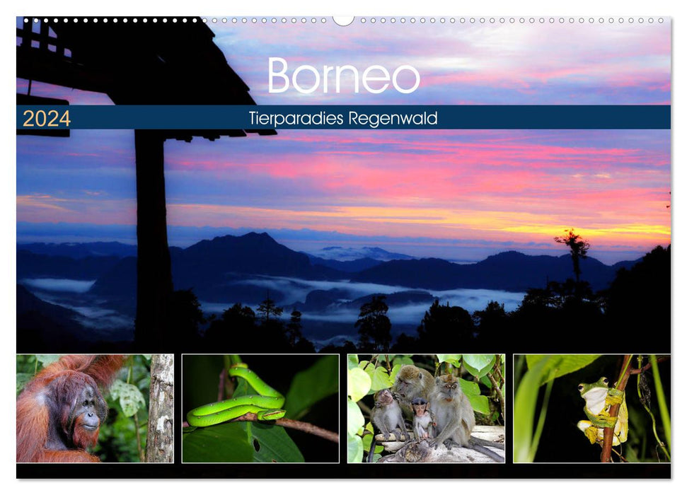 Bornéo – Forêt tropicale du paradis animalier (Calvendo mural CALVENDO 2024) 