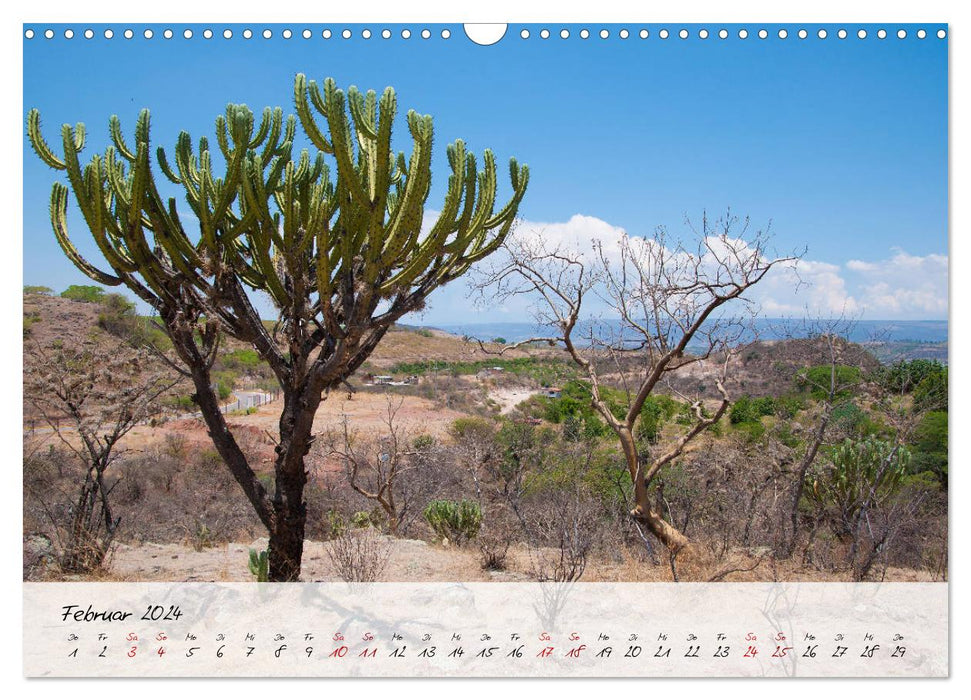 Mexico - Colorful diversity in city and country (CALVENDO wall calendar 2024) 