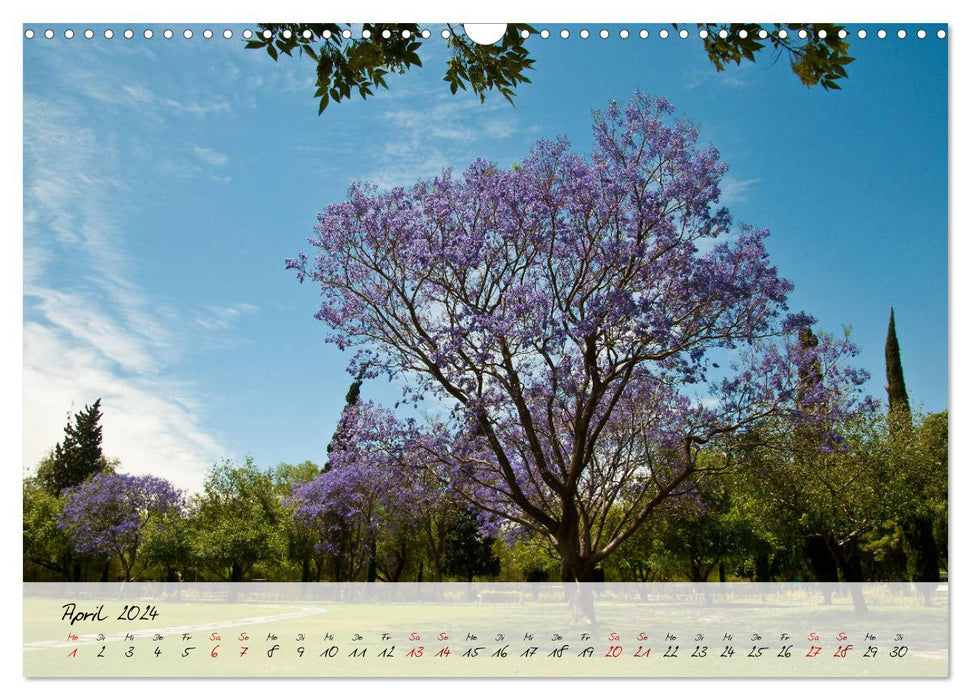 Mexico - Colorful diversity in city and country (CALVENDO wall calendar 2024) 