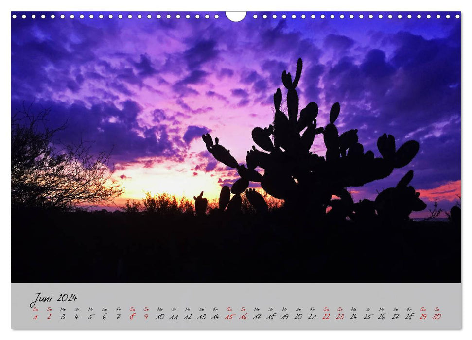 Mexico - Colorful diversity in city and country (CALVENDO wall calendar 2024) 