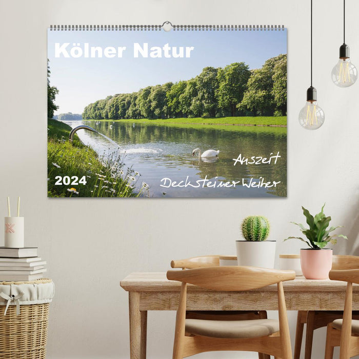 Kölner Natur. Auszeit Decksteiner Weiher (CALVENDO Wandkalender 2024)