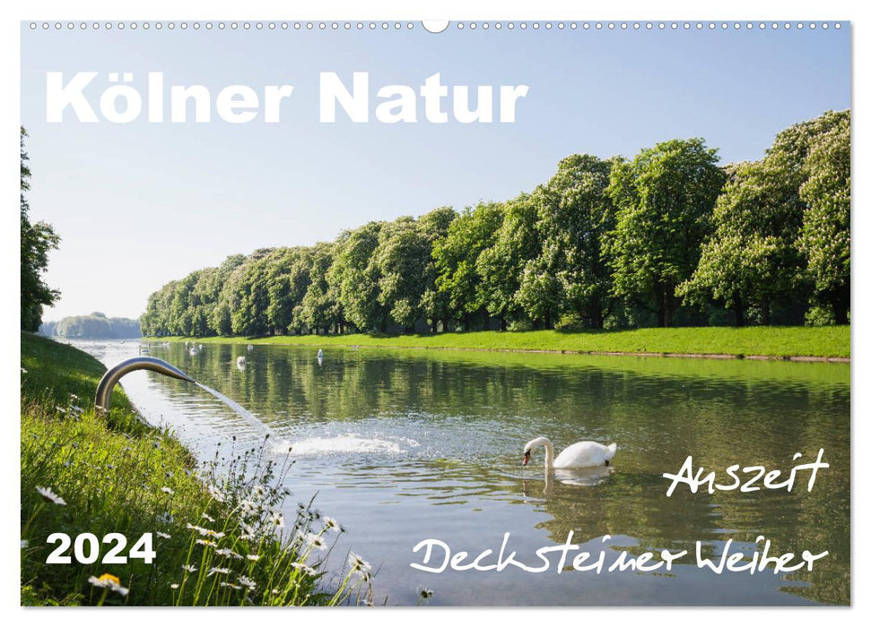 Kölner Natur. Auszeit Decksteiner Weiher (CALVENDO Wandkalender 2024)