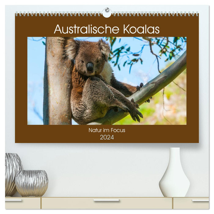 Australische Koalas (CALVENDO Premium Wandkalender 2024)