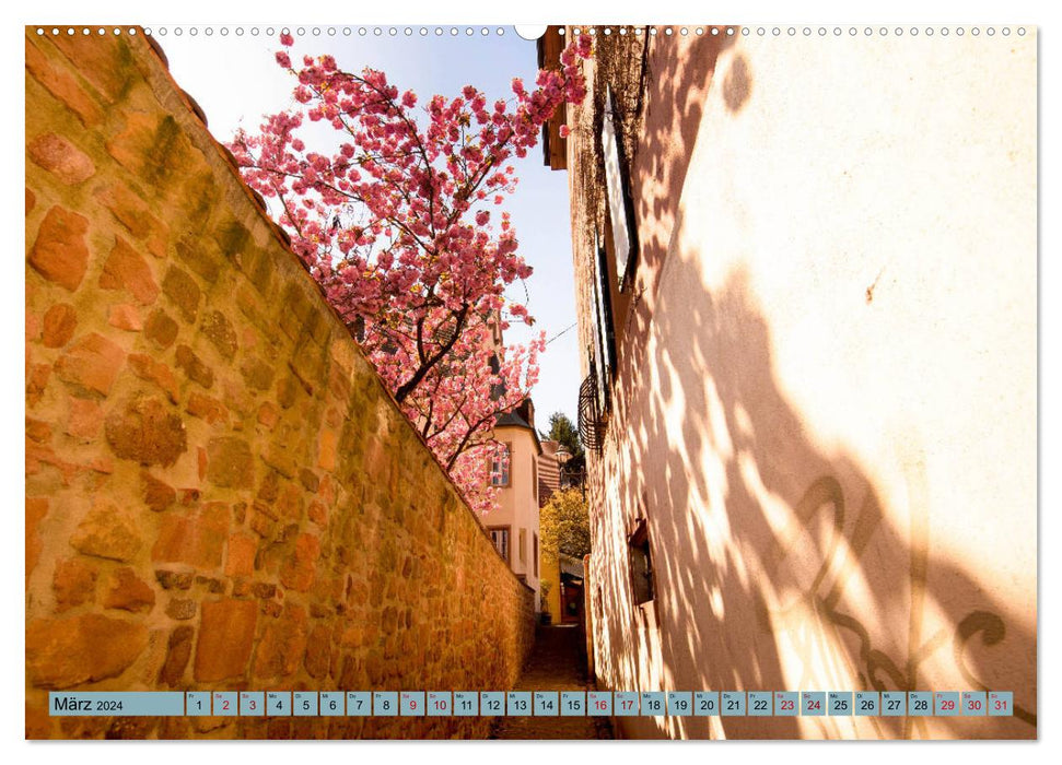 Magical Ortenau (CALVENDO wall calendar 2024) 