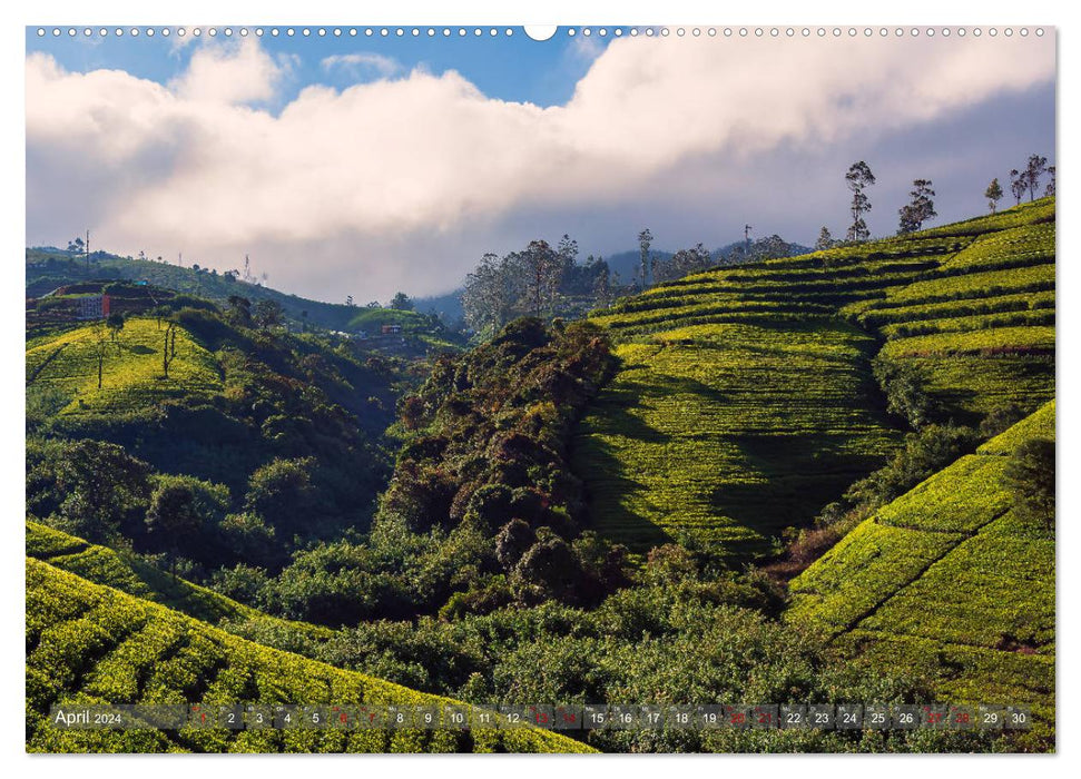 Reise nach Sri Lanka (CALVENDO Wandkalender 2024)