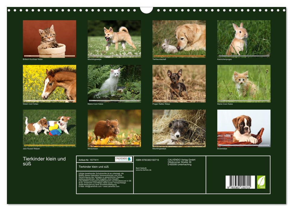Animal children small and cute (CALVENDO wall calendar 2024) 