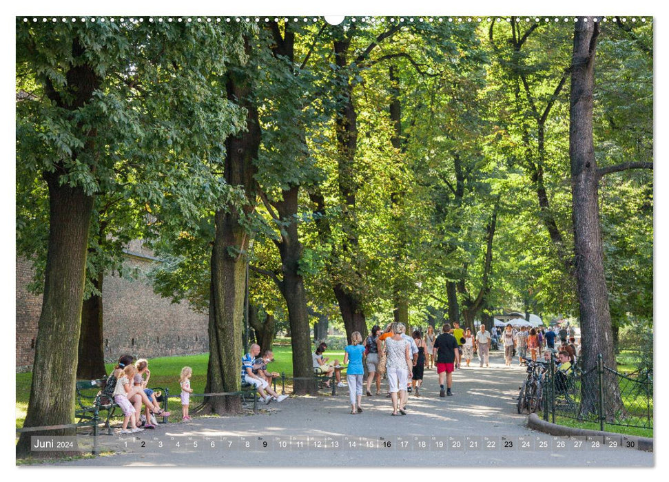 Polen Poesie (CALVENDO Wandkalender 2024)