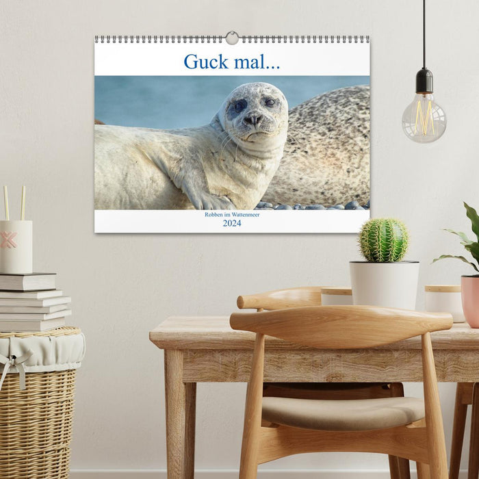 Look... seals in the Wadden Sea (CALVENDO wall calendar 2024) 