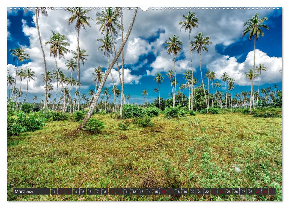 Inselparadies Sansibar (CALVENDO Premium Wandkalender 2024)