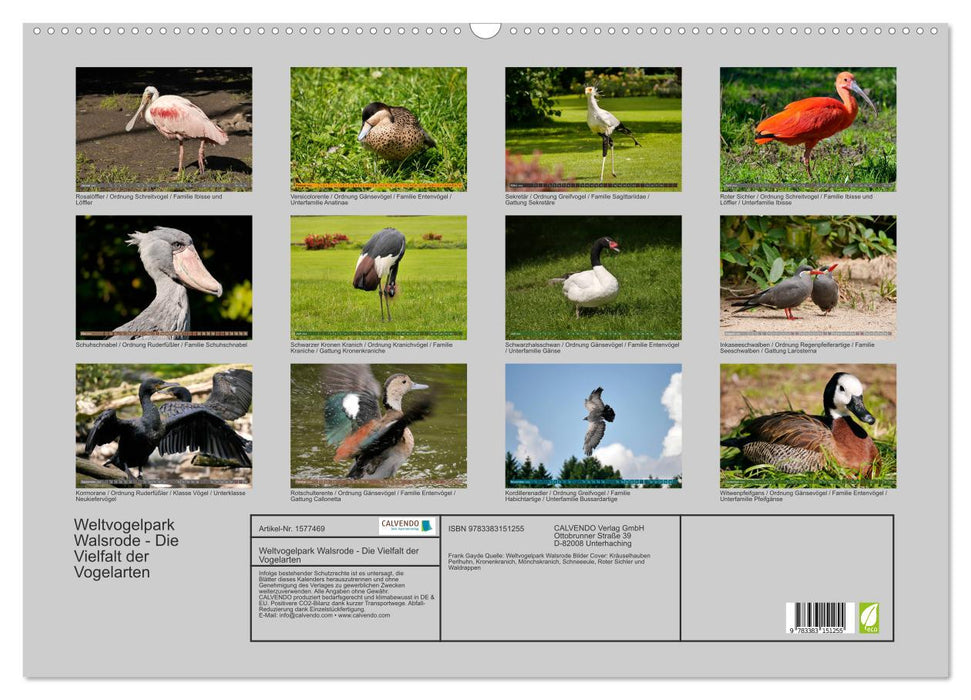 Weltvogelpark Walsrode - Die Vielfalt der Vogelarten (CALVENDO Wandkalender 2024)