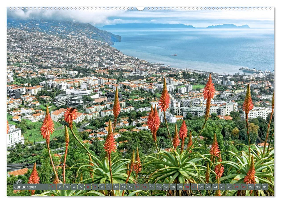 Madeira - Island magic in the Atlantic (CALVENDO Premium Wall Calendar 2024) 