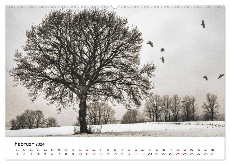 My view of Pfaffenhofen (CALVENDO Premium Wall Calendar 2024) 