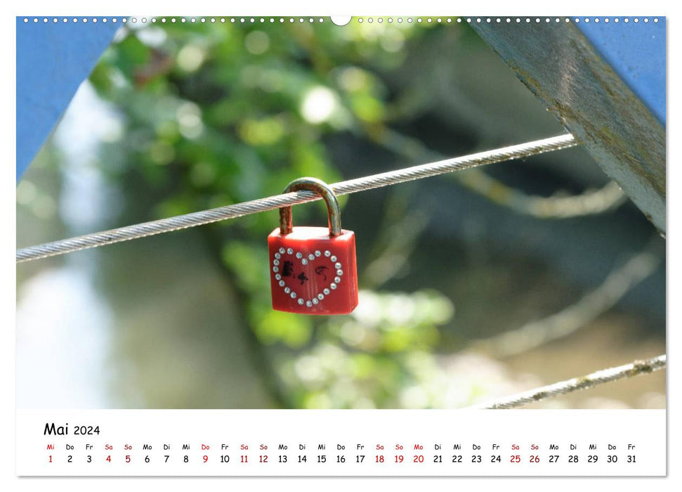 My view of Pfaffenhofen (CALVENDO Premium Wall Calendar 2024) 