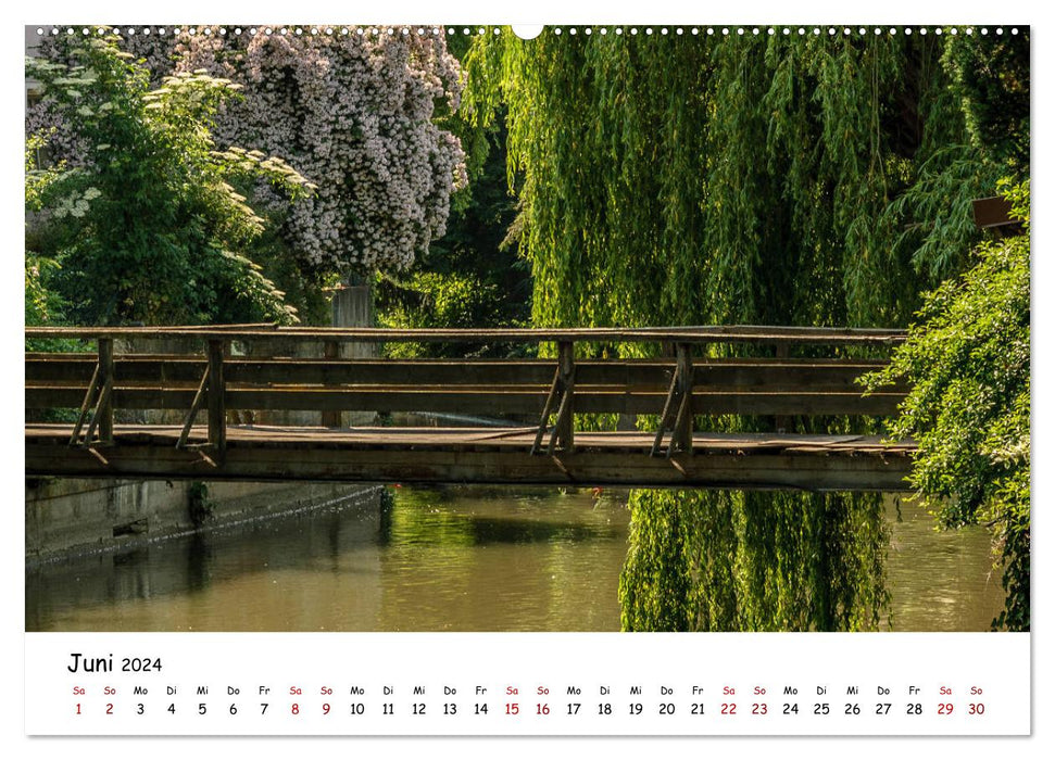 My view of Pfaffenhofen (CALVENDO Premium Wall Calendar 2024) 