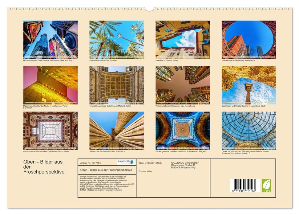 Ci-dessus – des images vues d’un point de vue d’un ver (Calendrier mural CALVENDO Premium 2024) 