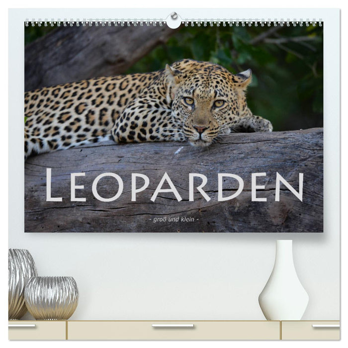 Leopards - big and small (CALVENDO Premium Wall Calendar 2024) 