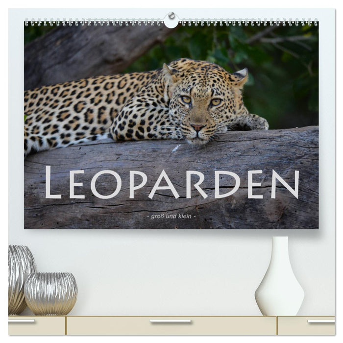 Leoparden - groß und klein (CALVENDO Premium Wandkalender 2024)