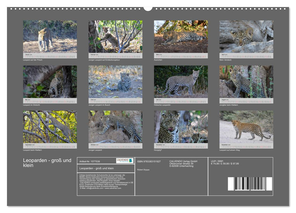Leoparden - groß und klein (CALVENDO Premium Wandkalender 2024)