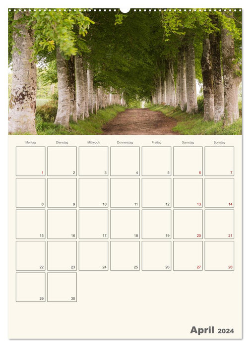 Summer days in Brittany (CALVENDO Premium Wall Calendar 2024) 